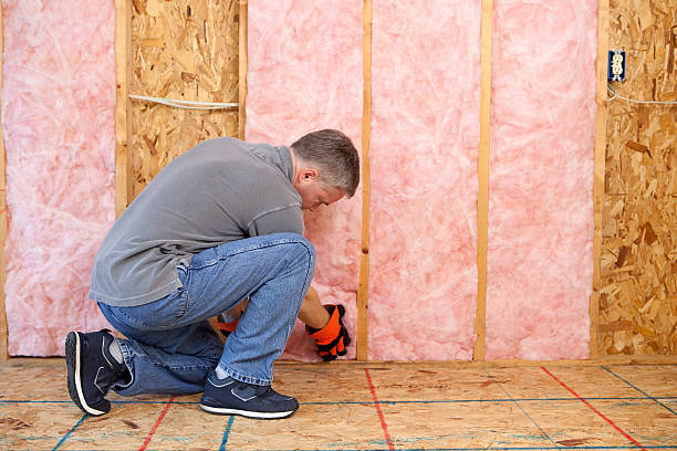 Best Eco-Friendly Insulation in Deforest, WI