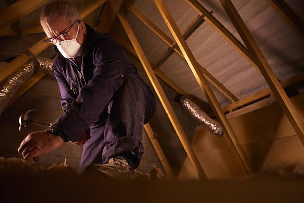 Best Geographic-Specific Insulation Services in Deforest, WI